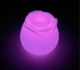 Glow in the Dark Rose