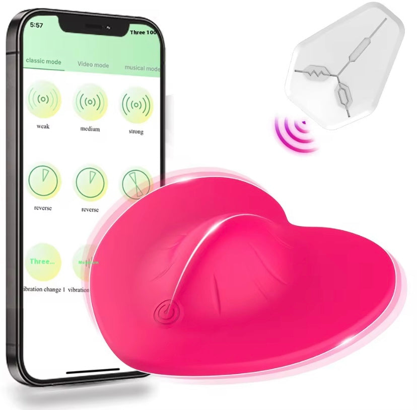 Panty Vibrator
